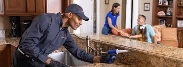 Best Residential Pest Control  in Vista Santa Rosa, CA